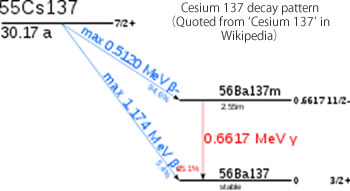 セシウム１３７の崩壊図（Wikipedia“セシウム１３７”より引用）